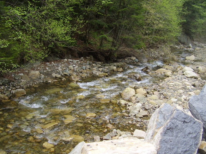 3869930_P1010015 (700x525, 363Kb)