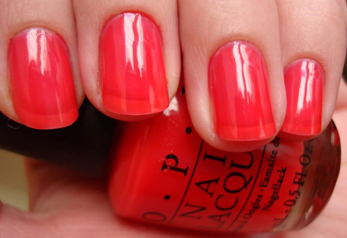 DSC04481 (700x481, 48Kb)