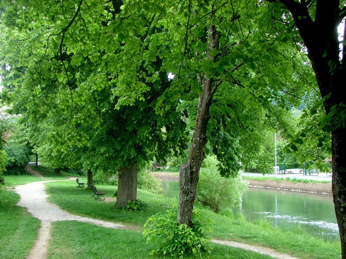 DSC00591 (700x525, 226Kb)