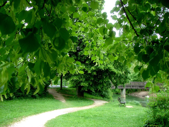 DSC00596 (700x525, 230Kb)