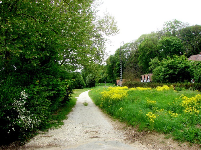 DSC00606 (700x525, 232Kb)