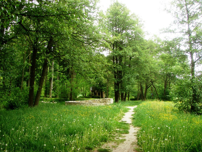 DSC00629 (700x525, 251Kb)