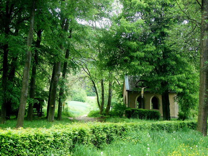 DSC00630 (700x525, 228Kb)