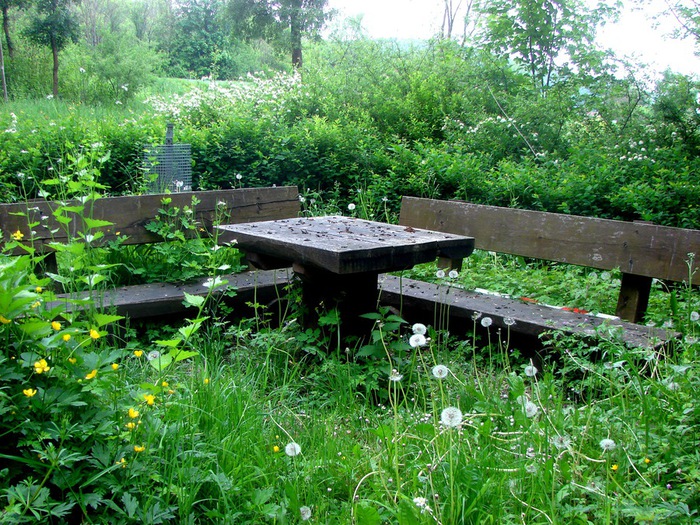 DSC00635 (700x525, 233Kb)