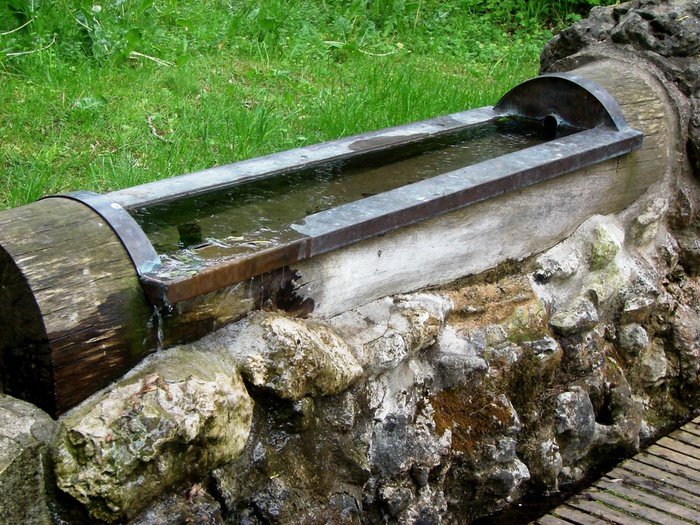 DSC00632 (700x525, 236Kb)