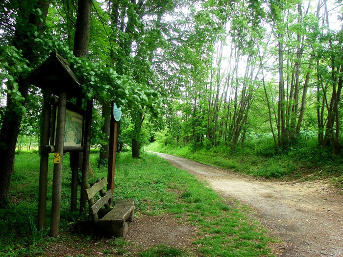 DSC00638 (700x525, 221Kb)