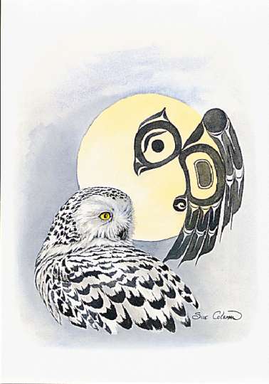 0Snowy Owl (378x540, 24Kb)