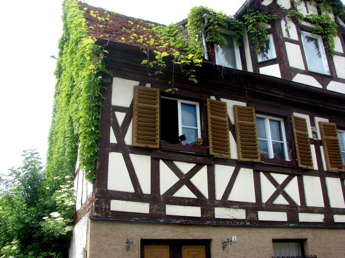 DSC00670 (700x525, 206Kb)