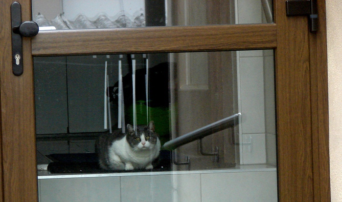 DSC00698 (700x414, 138Kb)