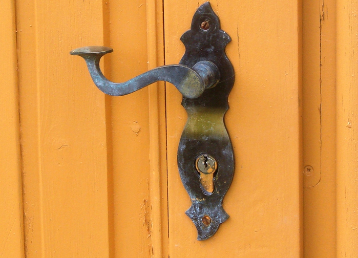 DSC00746 (700x504, 180Kb)