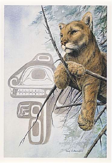 0Cougar (371x538, 34Kb)