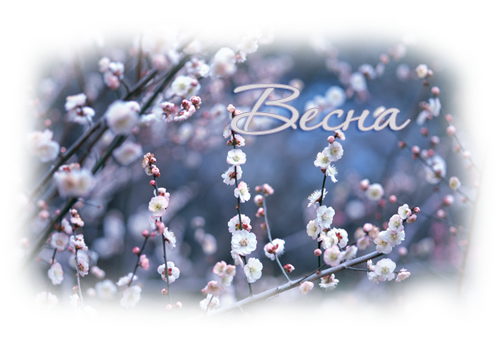 15_spring (500x355, 344Kb)