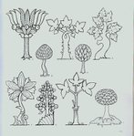  4000 motifs de fleurs et de plantes (59) (689x700, 106Kb)