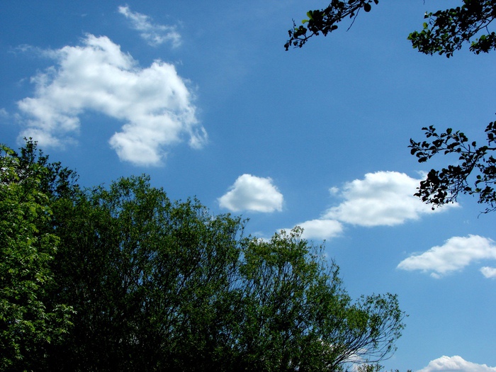 DSC00002 (700x525, 177Kb)