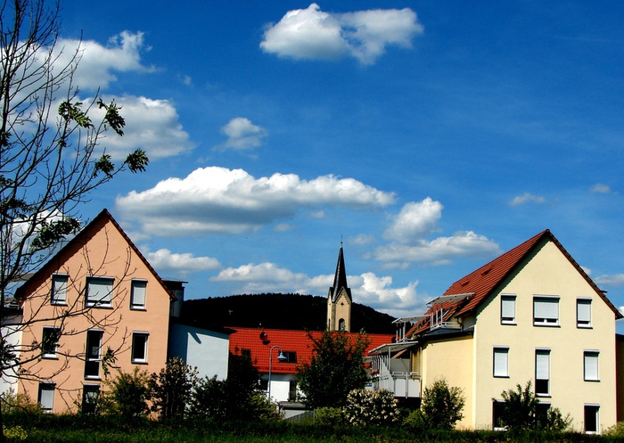 DSC00046 (700x497, 192Kb)