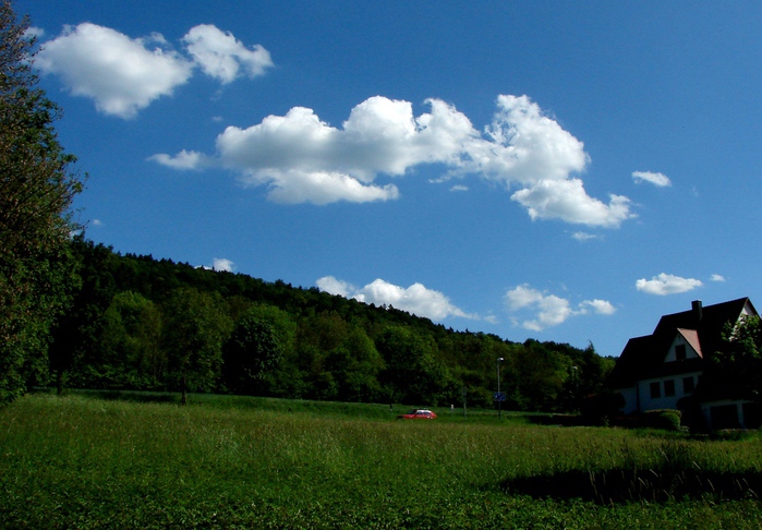 DSC00075 (700x486, 168Kb)