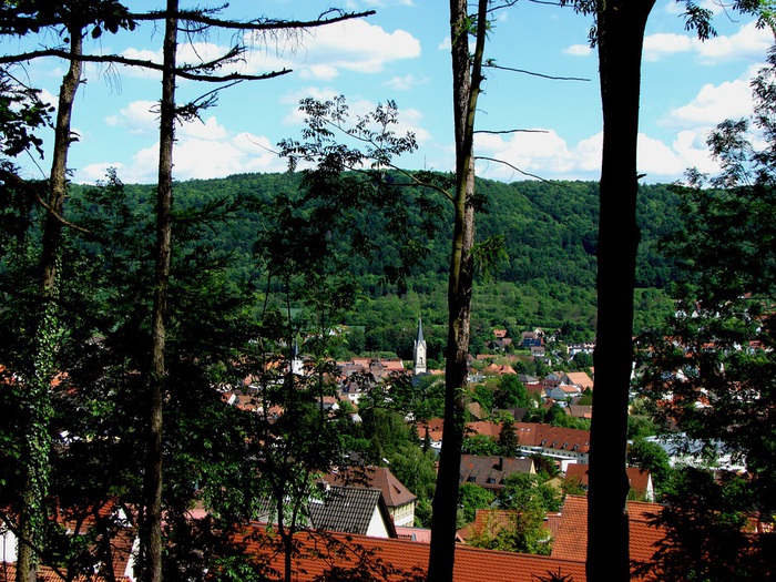 DSC00034 (700x525, 215Kb)