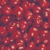 3110508_17865205_594016 (100x100, 5Kb)