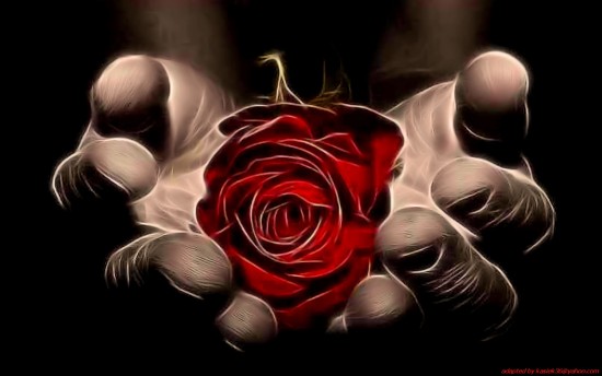 Roses--Flowers___--Roses-&-flowers--color--romantic--flowers--photoshop--graphic--hands--djole--Magzie's-favourites--Love-&-Roses--flower--PICS-FOR_large (550x344, 34Kb)
