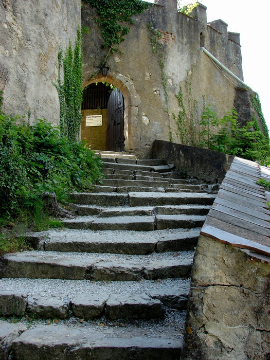 DSC00071 (525x700, 206Kb)