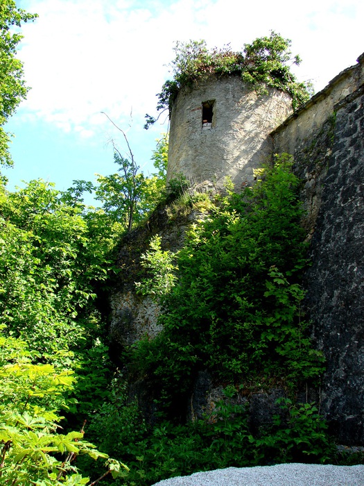 DSC00069 (525x700, 208Kb)