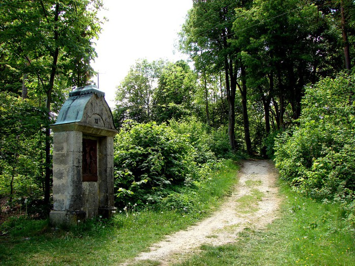 DSC00273 (700x525, 202Kb)