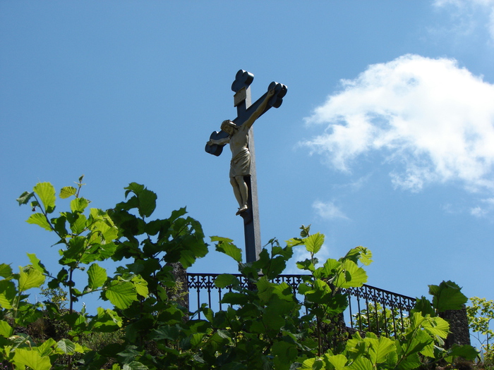 DSC00262 (700x525, 213Kb)