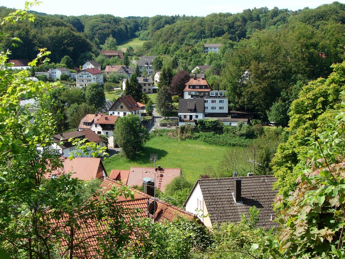 DSC00060 (700x525, 218Kb)