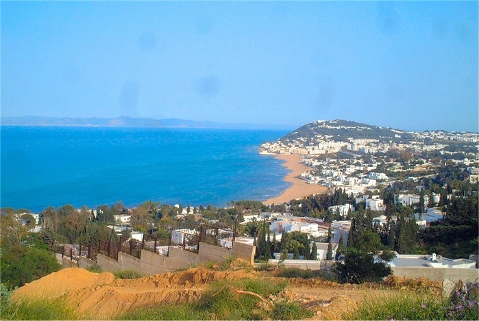 3571750_21298257_tunis_1_ (699x469, 143Kb)