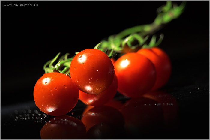 IMG_9925_(W) (700x467, 90Kb)
