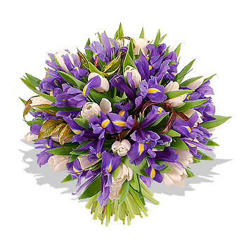 377-irises_and_tulips_bouquet (350x350, 96Kb)