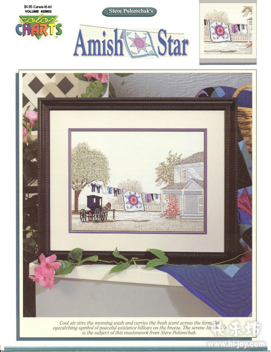 AMISH-STAR- (0) (539x700, 131Kb)