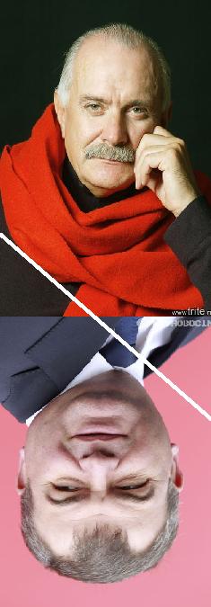    (235x675, 24Kb)