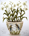  original-painting-by-artist-kelly-higgs-bee-eaters (208x259, 63Kb)
