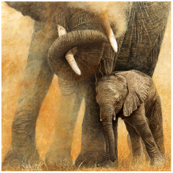 Сафари слоны фотозона. Anchor 01197 Elephants and Namaqua doves. La animal