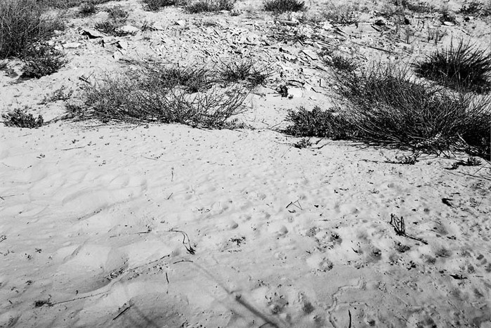 00267r3p copy (700x467, 144Kb)