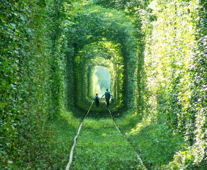 tunnel-of-love-3 (700x575, 242Kb)