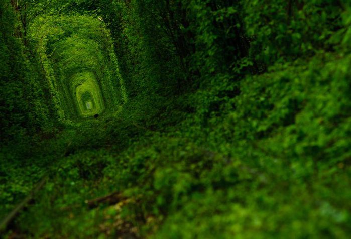 tunnel-of-love-4 (700x476, 55Kb)