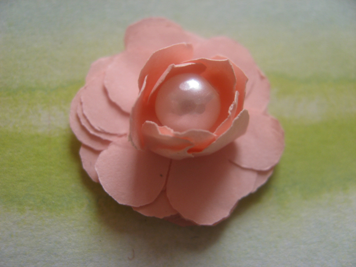 IMG_0447 (700x525, 361Kb)