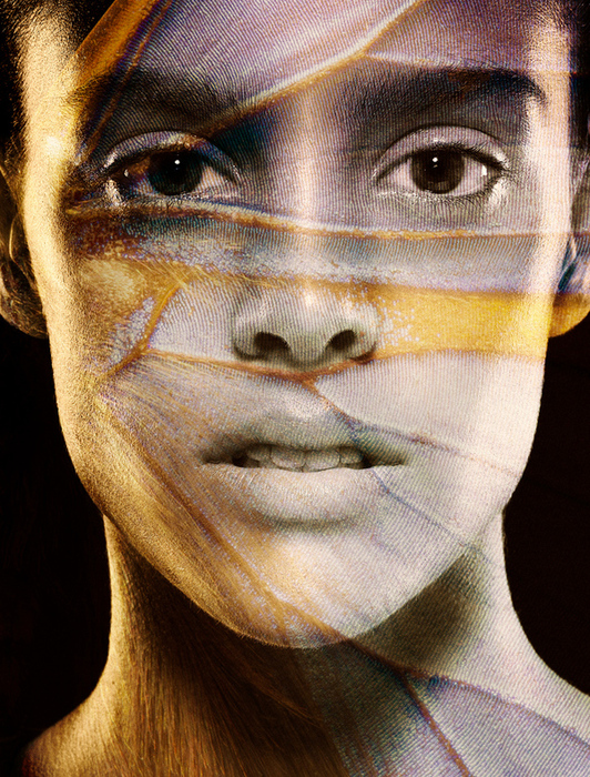219 (532x700, 386Kb)