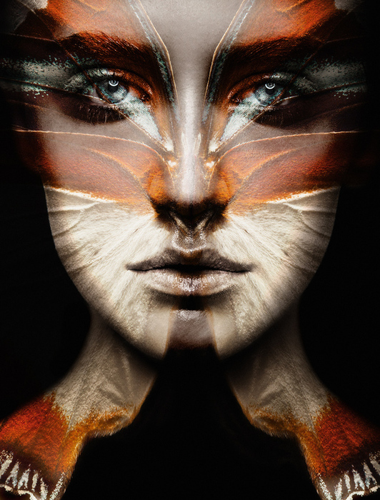 313 (532x700, 260Kb)