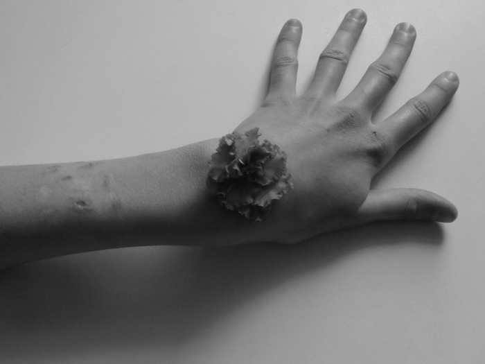 SDC18124 (700x525, 82Kb)