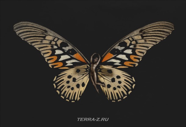 3_a6 (610x416, 37Kb)