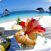 95098b049e3bcb749761c5522a9975b4 (170x170, 60Kb)