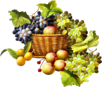 Grapes02_dhedet (201x173, 62Kb)