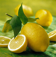 lemon2 (195x200, 18Kb)