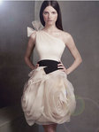  Vera Wang for David's Bridal One Shoulder Organza Dress with Black Belt (300x400, 17Kb)