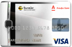 visa (231x151, 22Kb)