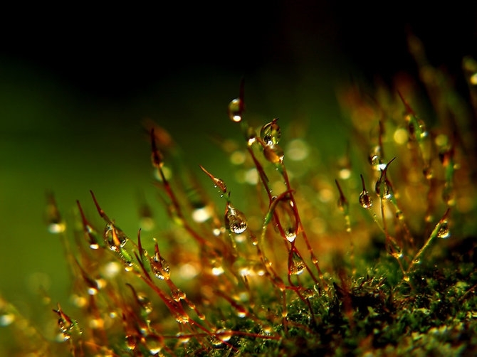 big_5c71a22396ed46cb509380f995a78ae028 (670x502, 171Kb)