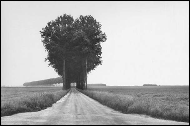 brie-henri-cartier-bresson-thumb (608x403, 47Kb)